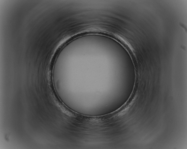 X0000092311029200709141026