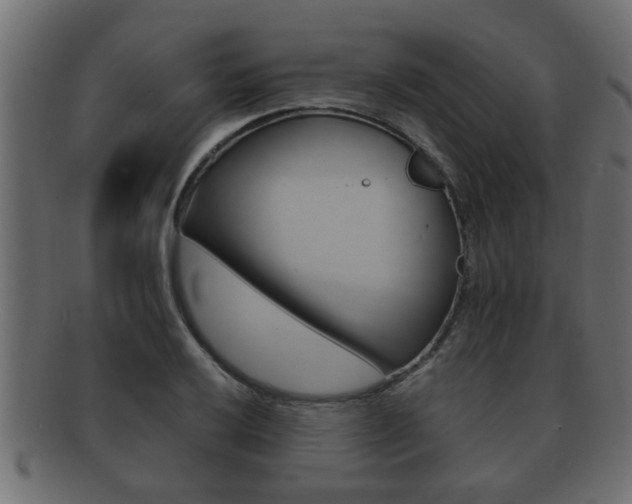 X0000092311032200709141026
