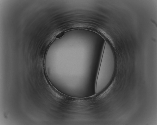 X0000092311033200709141026