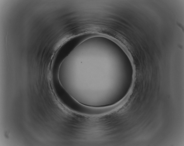 X0000092311034200709141026