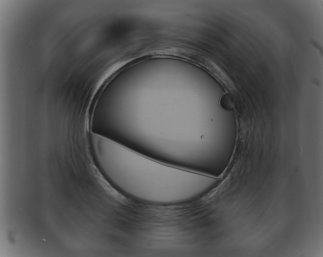 X0000092311036200709141027