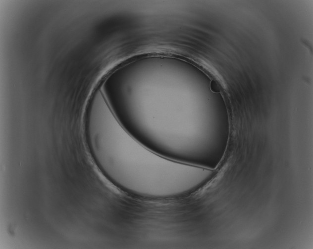 X0000092311037200709141027