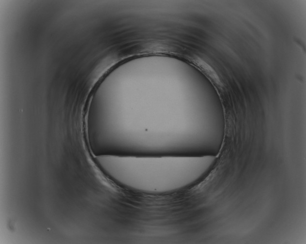 X0000092311039200709141027