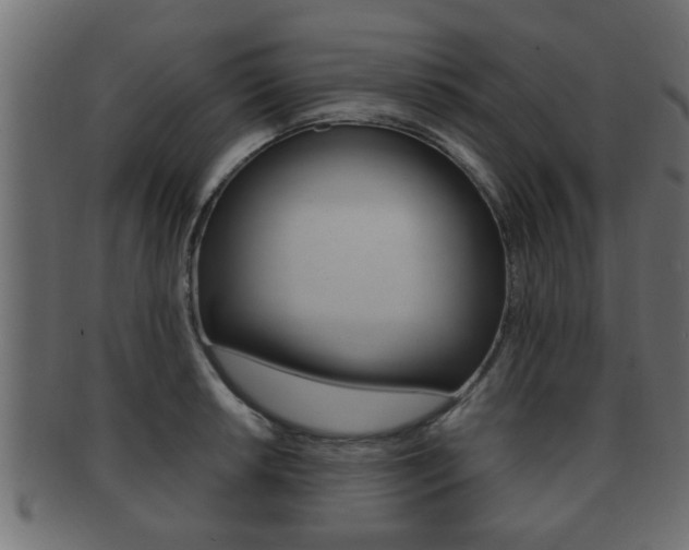 X0000092311042200709141027