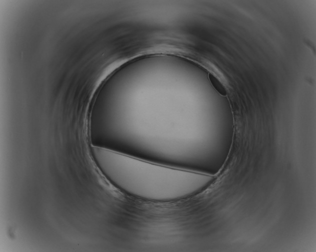 X0000092311044200709141027