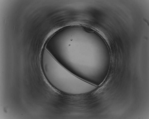 X0000092311045200709141027