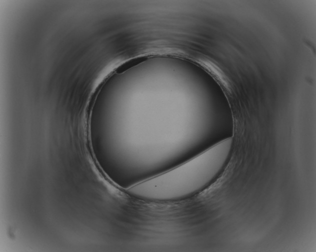X0000092311046200709141027