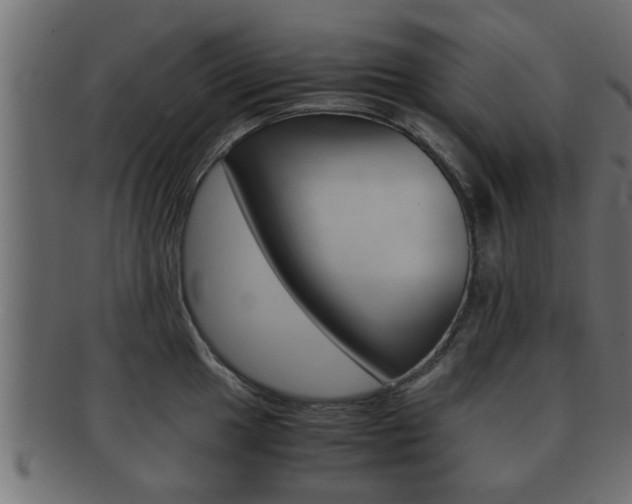 X0000092311049200709141027
