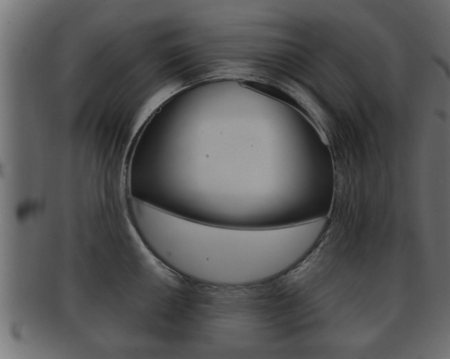 X0000092311050200709141027