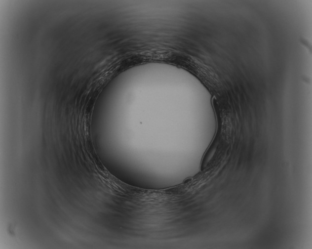 X0000092311058200709141026