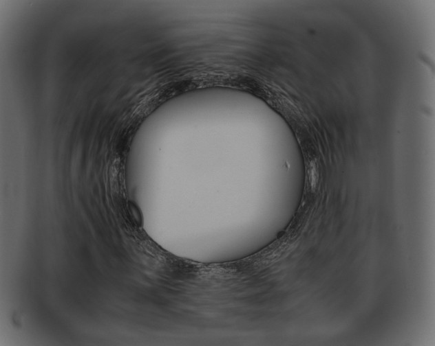 X0000092311059200709141026