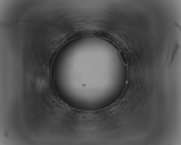 X0000092311061200709141026