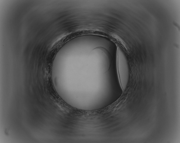 X0000092311064200709141026