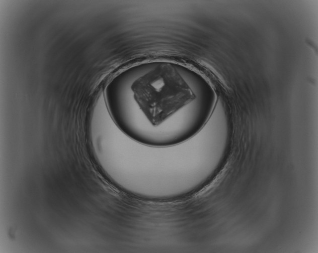 X0000092311065200709141026