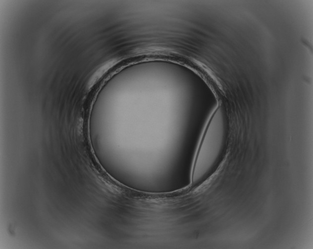 X0000092311066200709141026