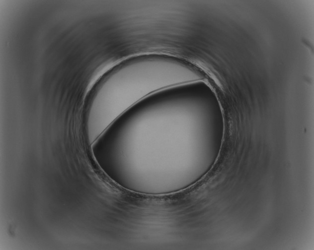 X0000092311069200709141026