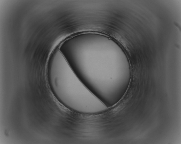 X0000092311072200709141026