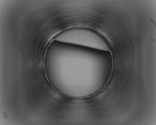 X0000092311073200709141026