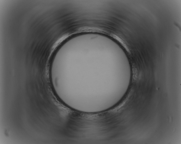 X0000092311074200709141026