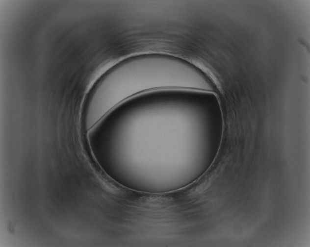 X0000092311077200709141026