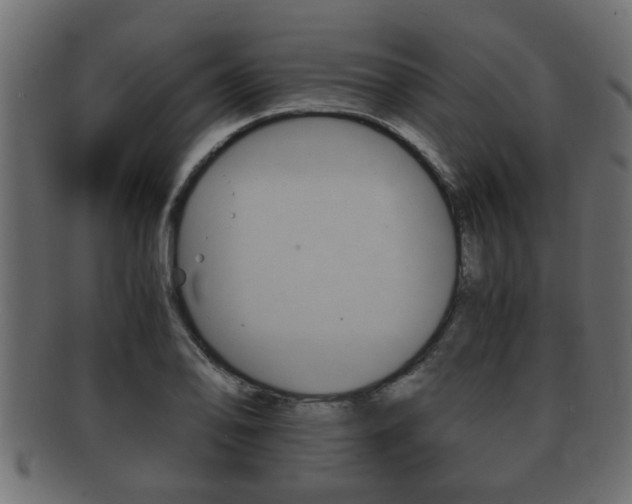 X0000092311078200709141026