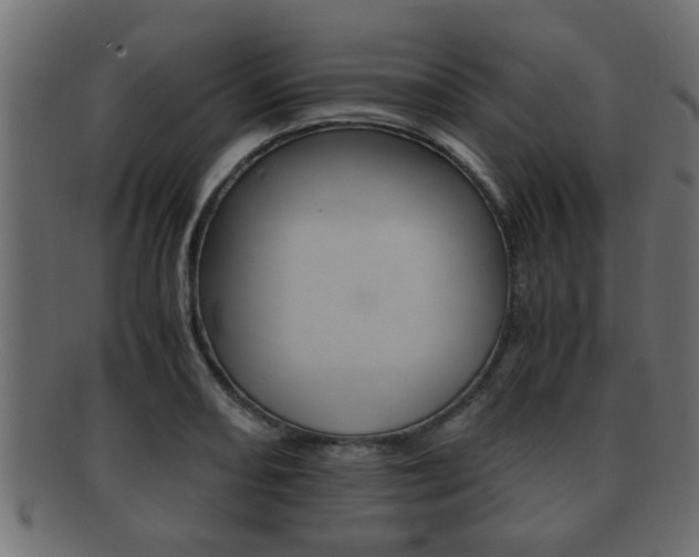X0000092311082200709141026