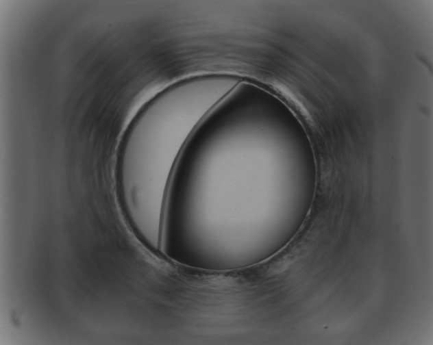 X0000092311085200709141026