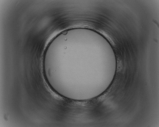 X0000092311086200709141026
