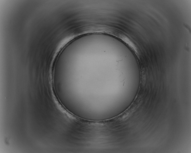 X0000092311088200709141026