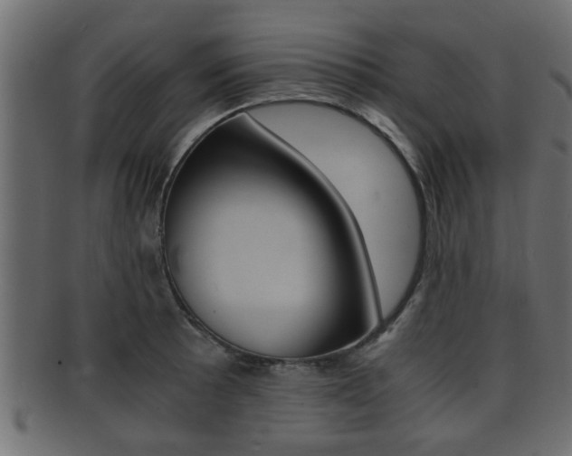 X0000092311089200709141026