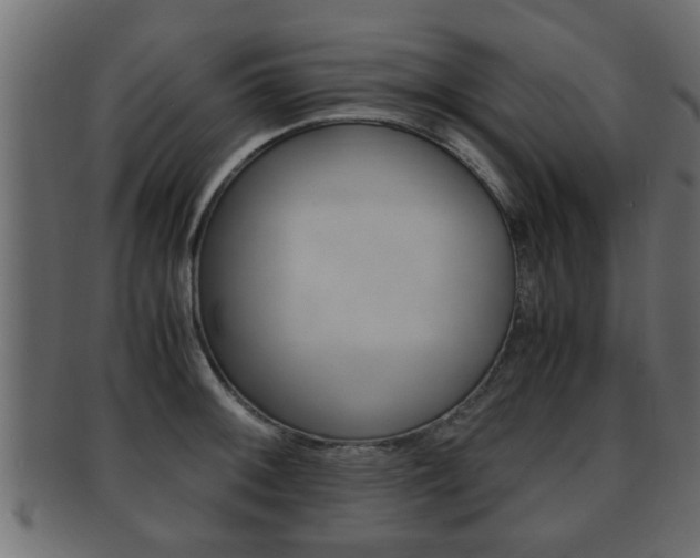 X0000092311092200709141026