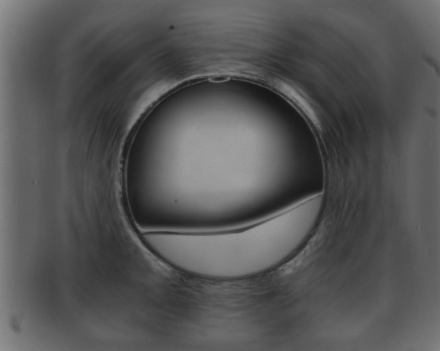 X0000092311093200709141026