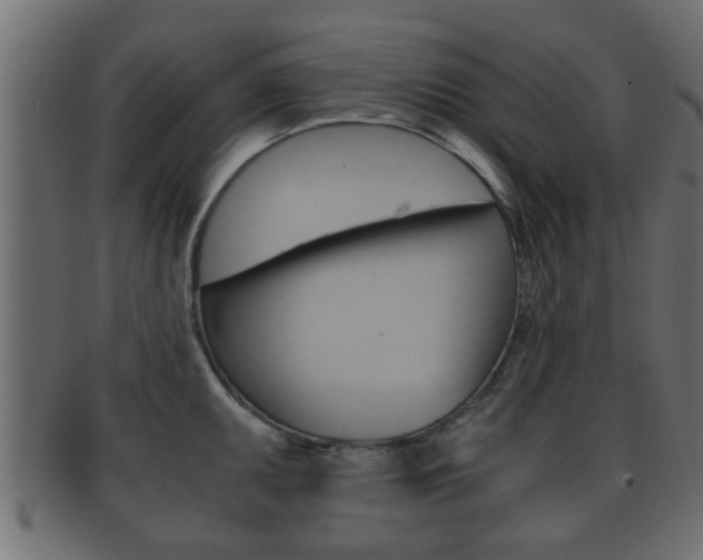 X0000092311095200709141026