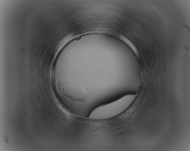 X0000092311099200709141026