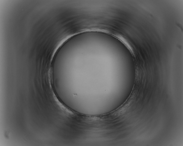 X0000092311100200709141026