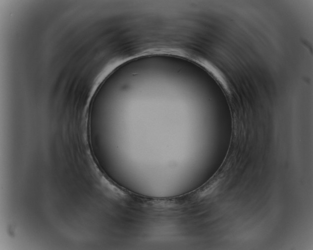 X0000092311102200709141026