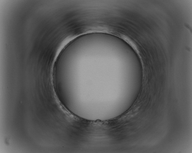 X0000092311104200709141026