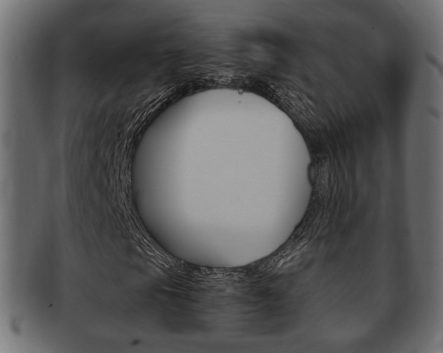 X0000092311105200709141025
