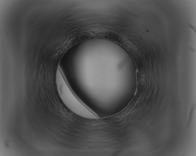 X0000092311108200709141025