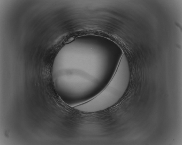 X0000092311110200709141025