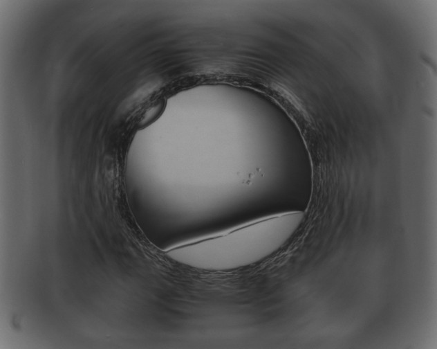 X0000092311111200709141025