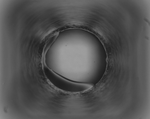 X0000092311112200709141025