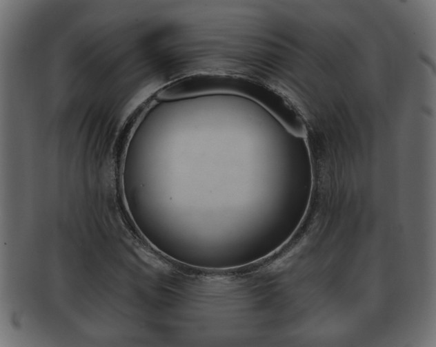 X0000092311114200709141025