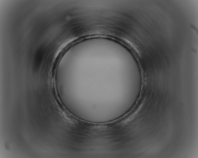 X0000092311117200709141025