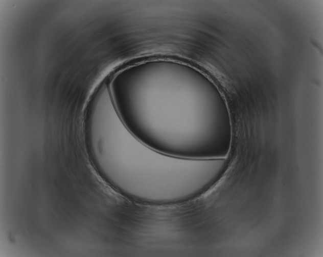 X0000092311118200709141025