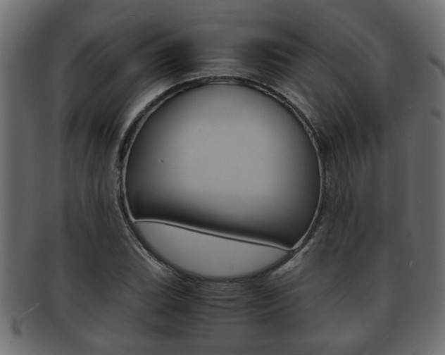 X0000092311119200709141025