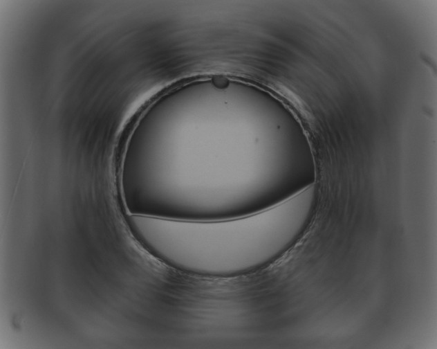X0000092311120200709141025