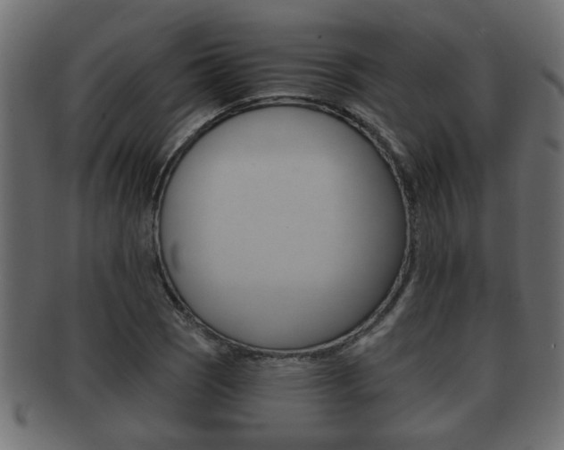 X0000092311121200709141025