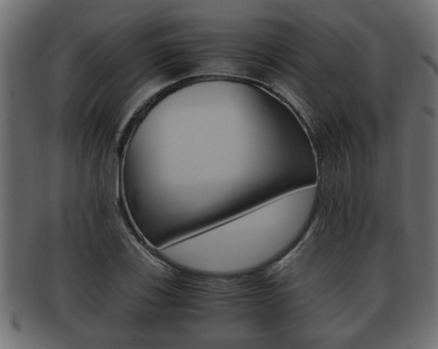 X0000092311123200709141025