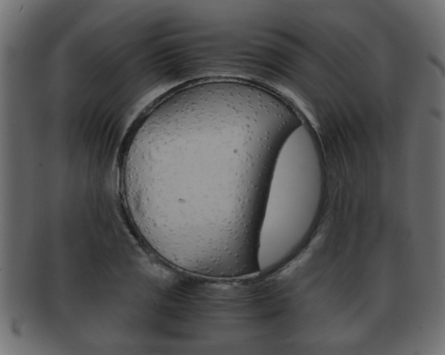 X0000092311125200709141025